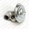 DELPHI EG10239 EGR Valve